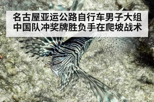 名古屋亚运公路自行车男子大组 中国队冲奖牌胜负手在爬坡战术